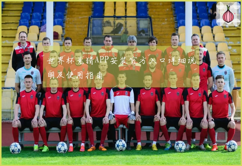 世界杯竞猜APP安装官方入口详细说明及使用指南