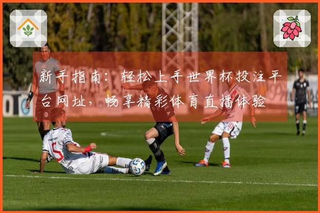 新手指南：轻松上手世界杯投注平台网址，畅享精彩体育直播体验