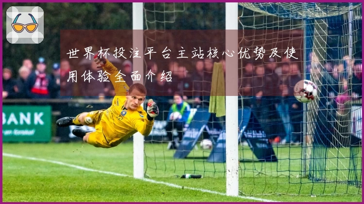 世界杯投注平台主站核心优势及使用体验全面介绍