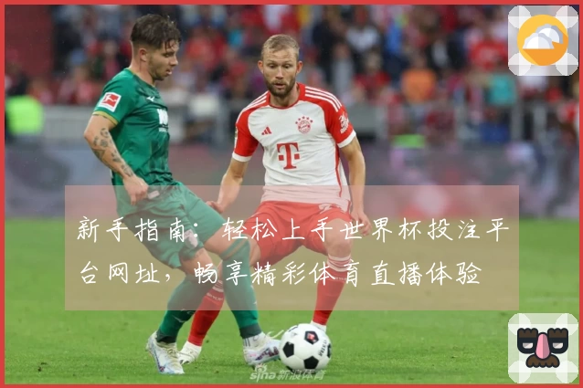 新手指南：轻松上手世界杯投注平台网址，畅享精彩体育直播体验